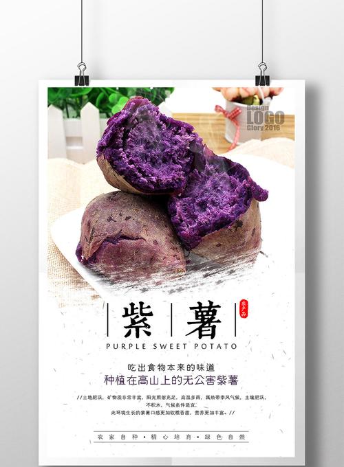 简约美味紫薯农产品海报模板免费下载